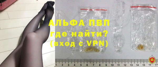 индика Переславль-Залесский