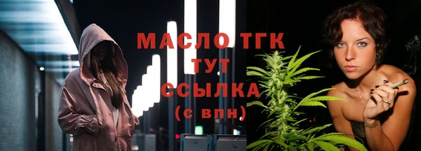 стаф Пересвет