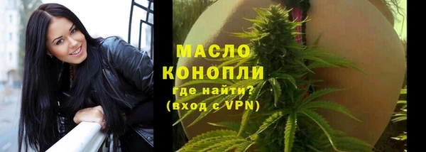 стаф Пересвет