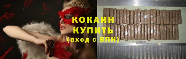 индика Переславль-Залесский