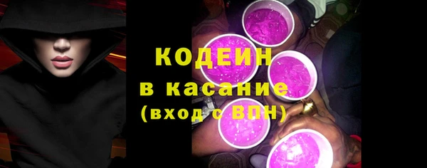 стаф Пересвет