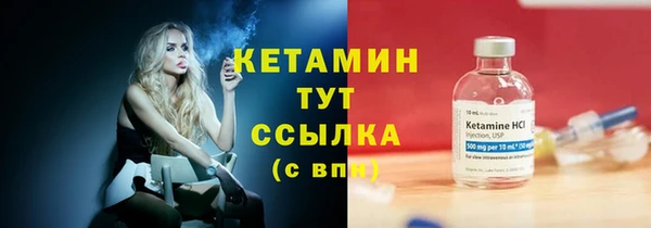 индика Переславль-Залесский