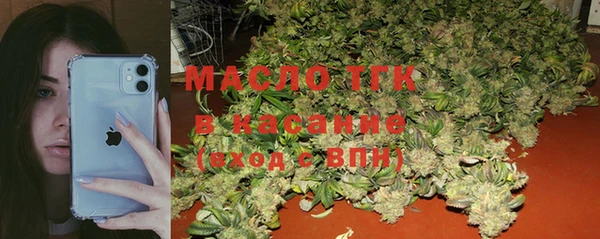 индика Переславль-Залесский