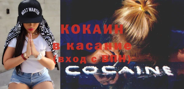 индика Переславль-Залесский