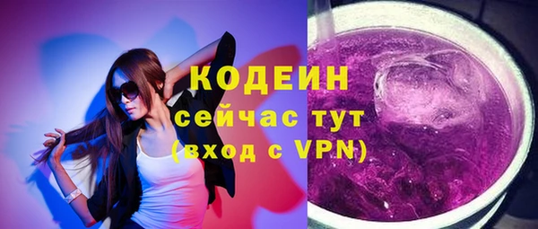 стаф Пересвет
