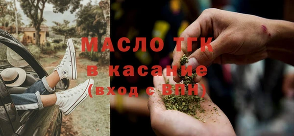 стаф Пересвет