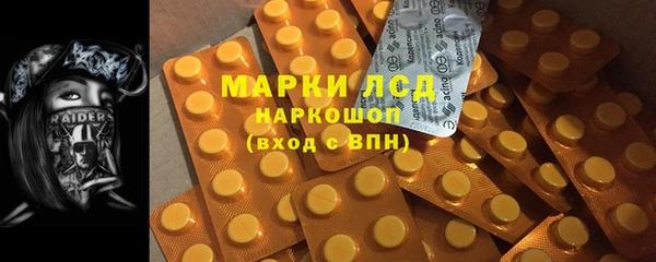 индика Переславль-Залесский
