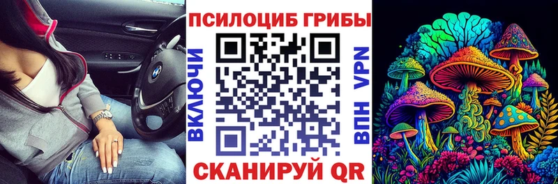 Галлюциногенные грибы мухоморы  OMG сайт  Шацк 